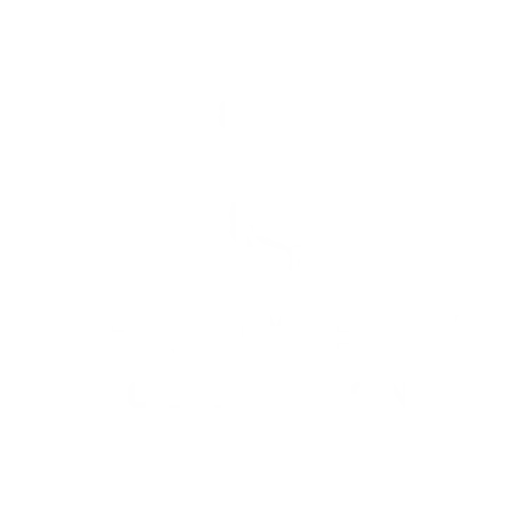 Terry Fox Foundation