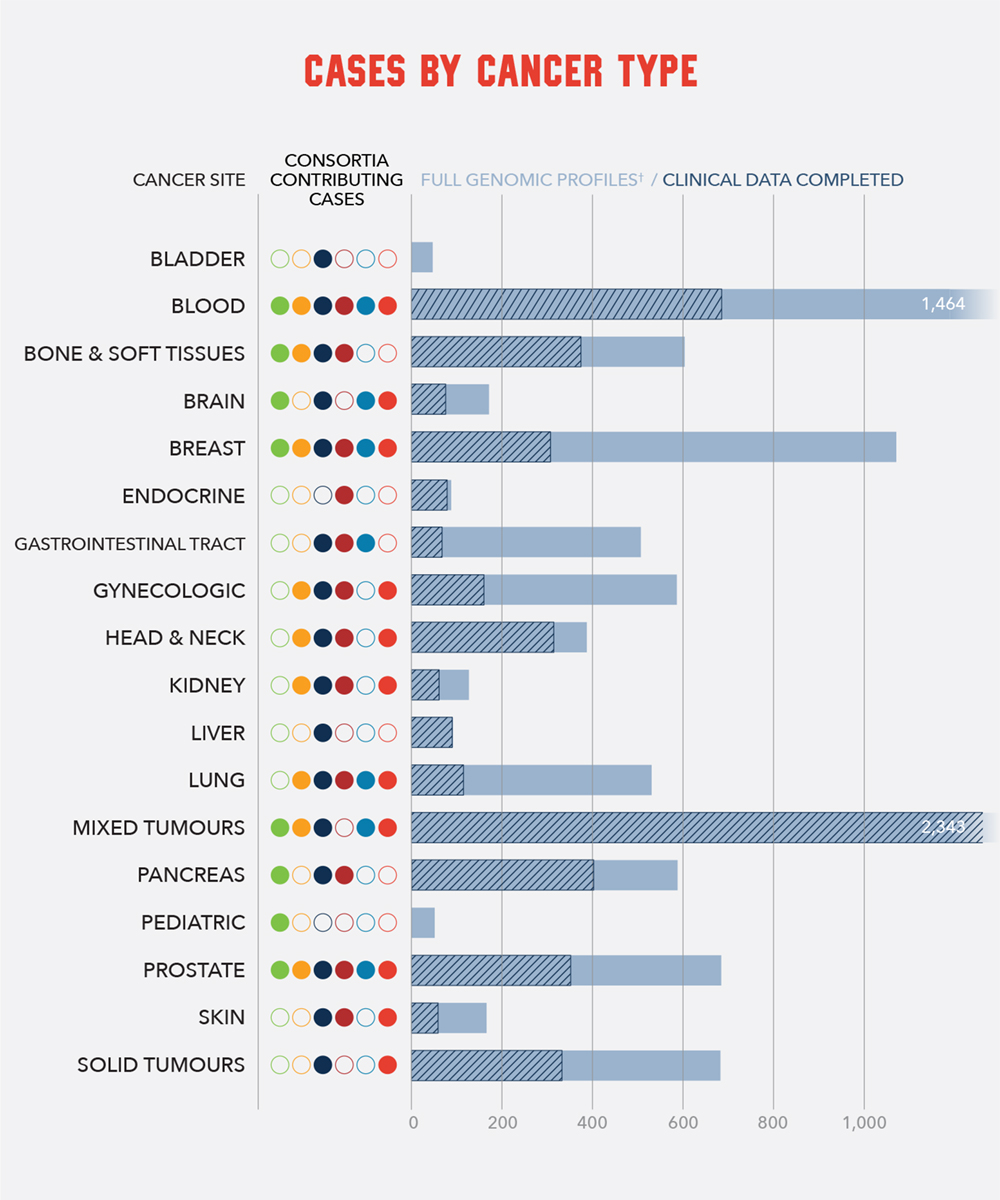 MOHCCN_DashBoard_ENG_Box2_2508 Case by Cancer Type
