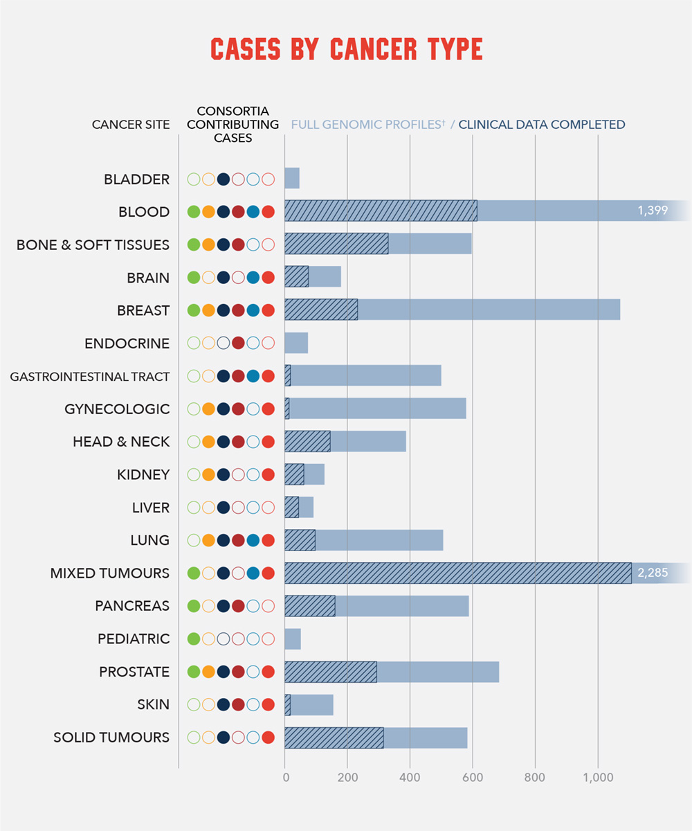 MOHCCN_DashBoard_ENG_Box2_2507 Case by Cancer Type