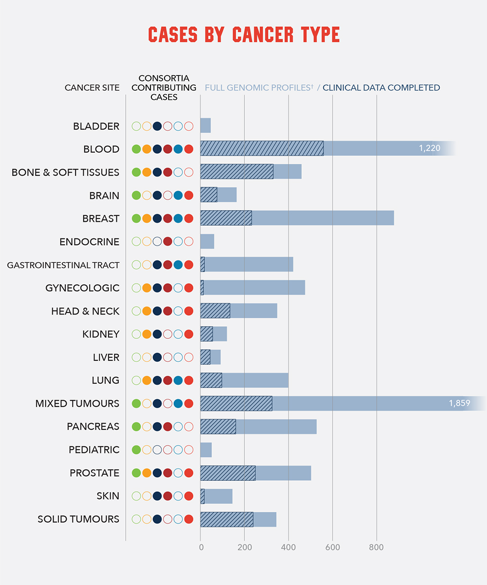 Case by Cancer Type