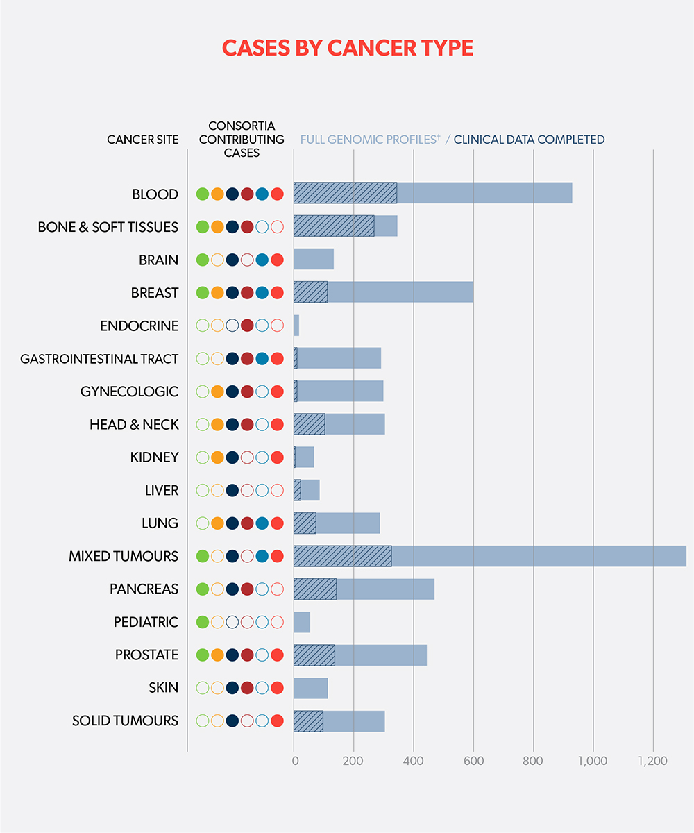 Cases by cancer type