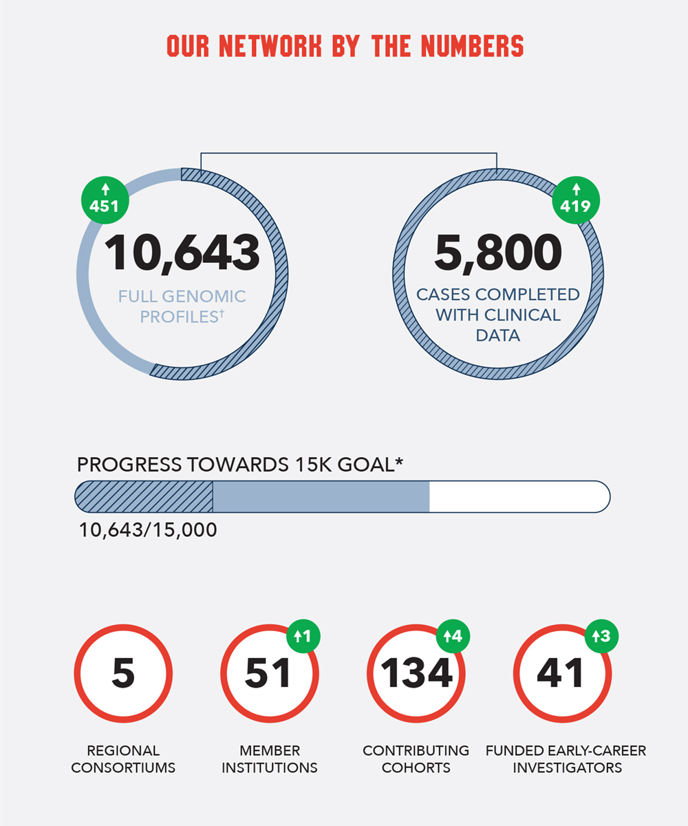 Network by Numbers